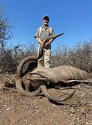 Image result for Kudu Hunting