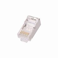 Image result for Cat 6 RJ45 Plug