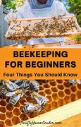 Image result for Beekeeping for Beginners