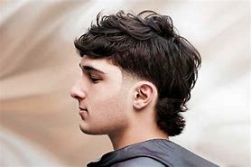 Image result for European Mullet Haircut