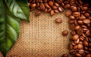 Image result for Kaffee Beans Portrait