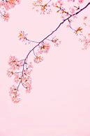 Image result for Pink Sakura Katana