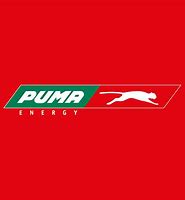 Image result for Puma Energy Logo