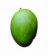 Image result for Mango Raw Leave