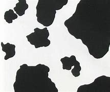 Image result for Cow Fabric