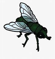 Image result for Cartoon Giant Fly Swat