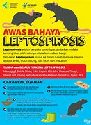 Image result for Leptospirosis Poster