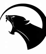 Image result for Puma Decal