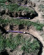 Image result for Drip Irrigation Septic System