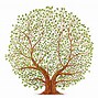 Image result for Best Tree Drawing