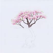 Image result for Cherry Blossom Tree Pencil Sketch