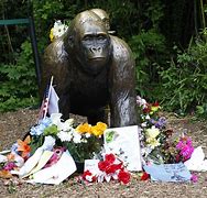 Image result for Harambe-Shaped Cheeto