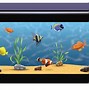 Image result for Dirty Fish Tank