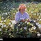 Image result for Black Picking Cotton