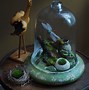 Image result for Moss Dish Garden