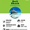 Image result for Bull Shark Eating