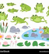 Image result for Egggs Frog