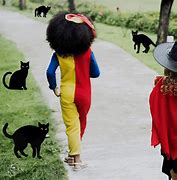 Image result for Black Cat Halloween Decorations