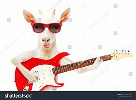 Image result for Funny Songs to Learn On Guitar