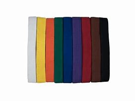 Image result for Colored Belts