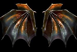 Image result for Demon Wings