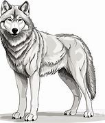 Image result for Wolf Images Clip Art