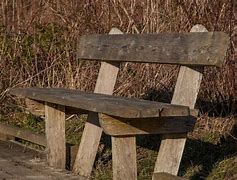 Image result for Bench Nature