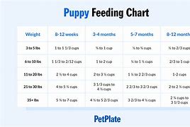 Image result for Puppy Feeding Amount Chart