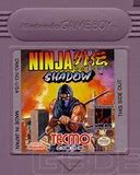 Image result for Ninja Gaiden Shadow