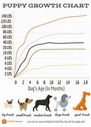 Image result for Puppy Growth Rate Chart