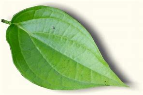 Image result for Pan Leaves