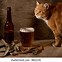 Image result for Cat Drinking Beer