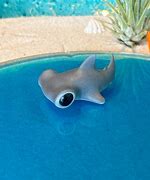 Image result for Baby Hammerhead