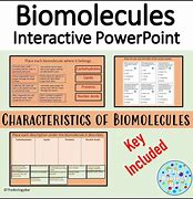 Image result for Biomolecules