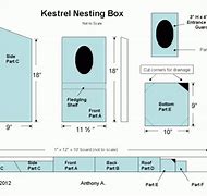 Image result for Kestrel Nest Box