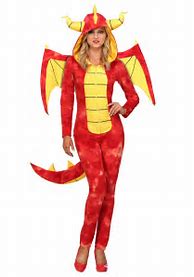 Image result for Dragon Costume Adult