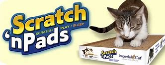 Image result for Cat Scratching Pads