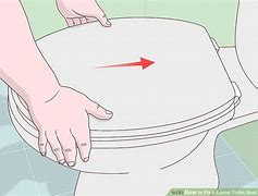 Image result for Loose Toilet Seat