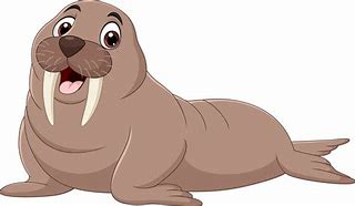 Image result for Walrus Baby Pics