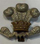 Image result for Royal Badge of Wales