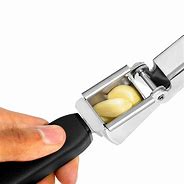 Image result for Garlic Press