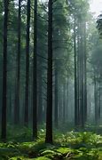 Image result for Forest Wall Covering