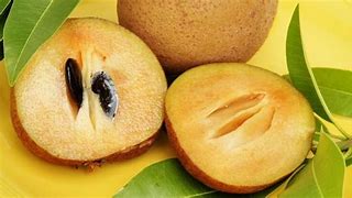 Image result for Petik Buah Sawo