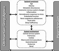 Image result for Obstructive Sleep Apnea and Hypertension