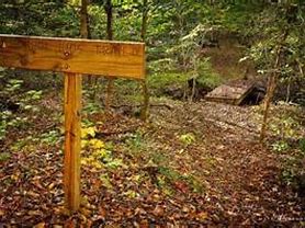 Image result for White Pines Nature Preserve