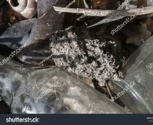 Image result for Broken Glass Trash Can