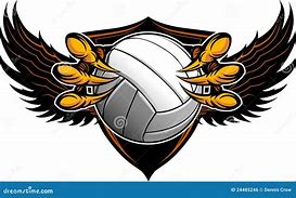 Image result for Hawk Talons around a Volleyball