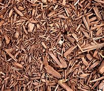 Image result for Mulch Texture