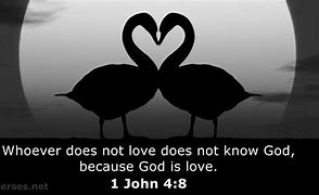 Image result for 1 John 4 8 NLT