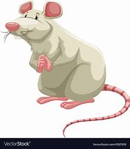 Image result for White Rat Meme